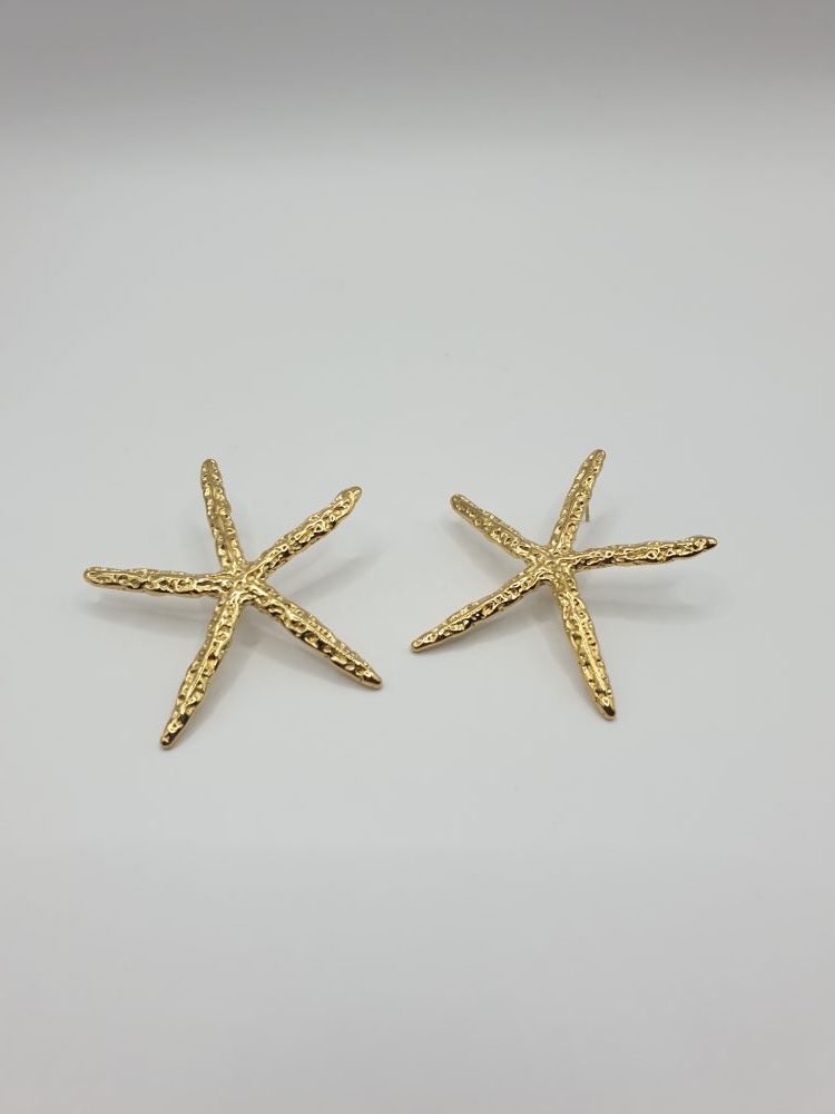 boucles oreilles acier inoxydable étoile d -mer , sur moderne-bijoux.fr - bijoux ethniques & Femmes du monde