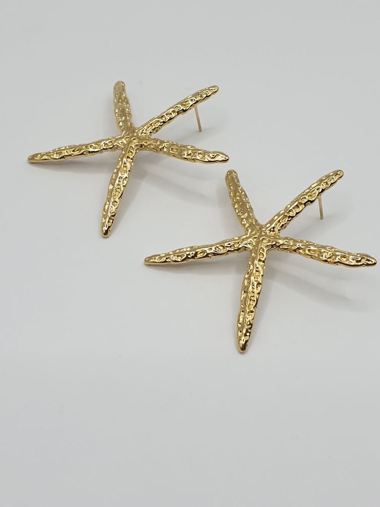 boucles oreilles acier inoxydable étoile d -mer , sur moderne-bijoux.fr - bijoux ethniques & Femmes du monde