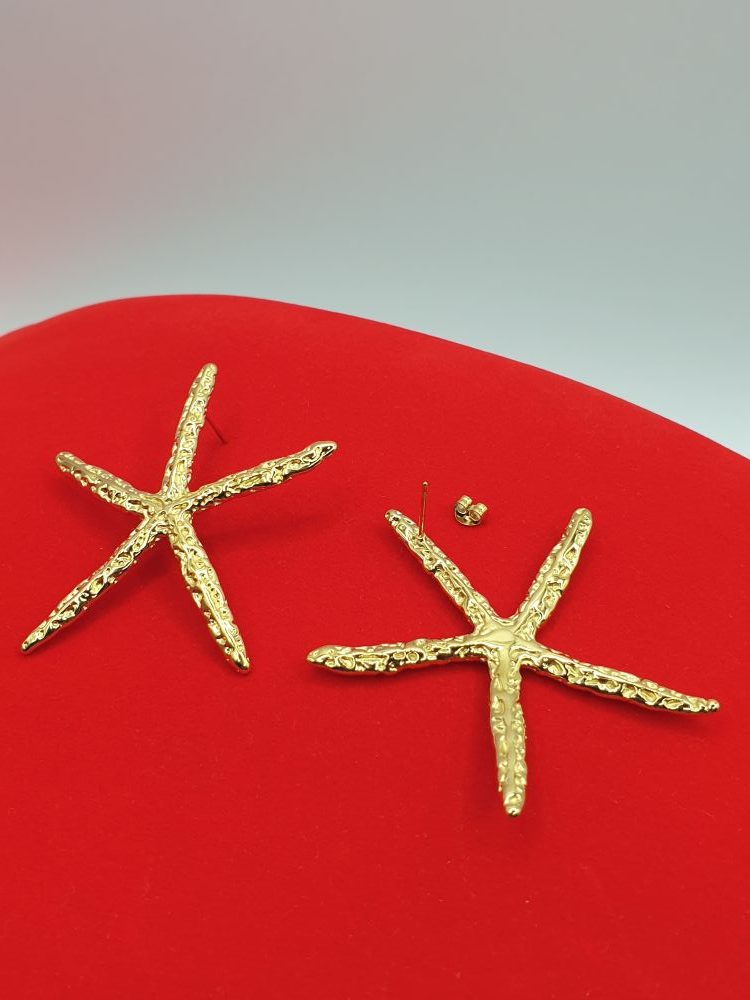 boucles oreilles acier inoxydable étoile d -mer , sur moderne-bijoux.fr - bijoux ethniques & Femmes du monde